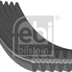 Febi Bilstein 34459 - Keilrippenriemen (Nachtexpress)