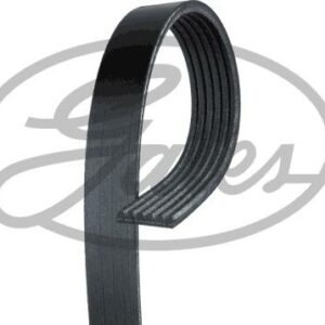 Gates 6PK965 - Keilrippenriemen (Nachtexpress)