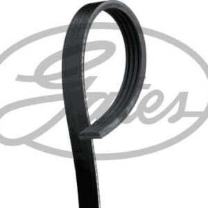 Gates 4PK885 - Keilrippenriemen (Nachtexpress)
