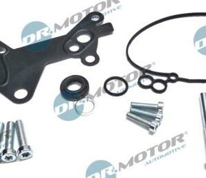 Dr.Motor Automotive DRM0190 - Reparatursatz, Unterdruckpumpe (Bremsanlage) (Nachtexpress)