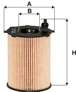 Filtron OE667/4 - Ölfilter (Nachtexpress)