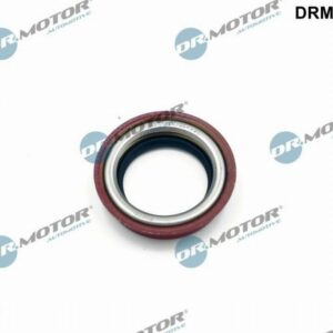 Dr.Motor Automotive DRM02243 - Wellendichtring, Differential (Nachtexpress)