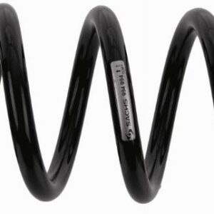 SACHS 994 994 - Fahrwerksfeder (Nachtexpress)