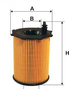 Filtron OE667/1 - Ölfilter (Nachtexpress)