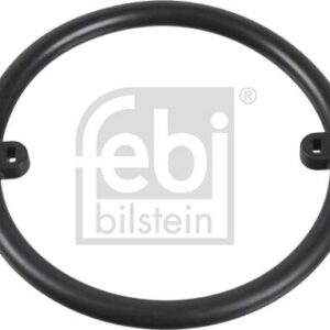 Febi Bilstein 18776 - Dichtung, Ölkühler (Nachtexpress)