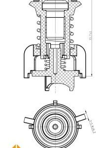NRF 725095 - Thermostat, Kühlmittel (Nachtexpress)