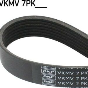 SKF VKMV 7PK1165 - Keilrippenriemen (Nachtexpress)