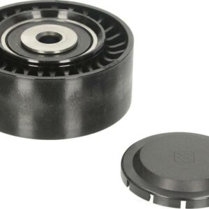 INA 532 0564 10 - Umlenk / Führungsrolle, Keilrippenriemen (Nachtexpress)
