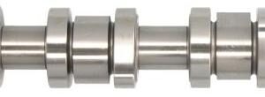 INA 428 0159 10 - Nockenwelle (Nachtexpress)