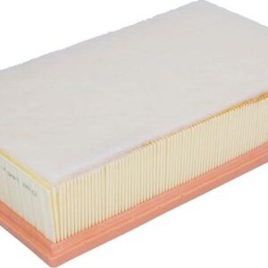 Mann-Filter C 29 110 - Luftfilter (Nachtexpress)