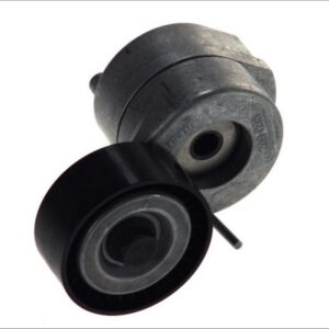 INA 534 0053 10 - Riemenspanner, Keilrippenriemen (Nachtexpress)