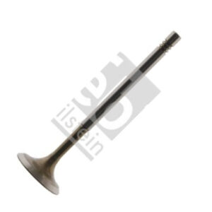 Febi Bilstein 32333 - Einlassventil (Nachtexpress)