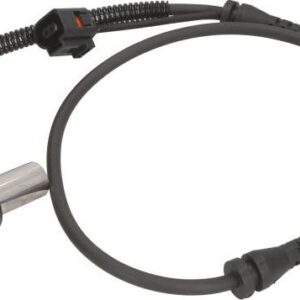 Delphi SS20039 - Sensor, Raddrehzahl (Nachtexpress)