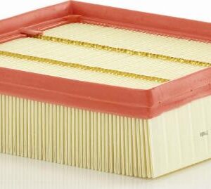 Mann-Filter C 20 106 - Luftfilter (Nachtexpress)