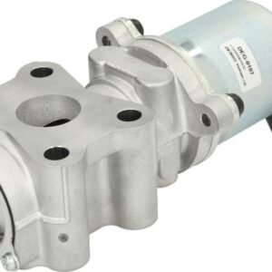 Denso DEG-0107 - AGR-Ventil (Nachtexpress)