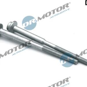 Dr.Motor Automotive DRM01079S - Schraube, Einspritzdüsenhalter (Nachtexpress)