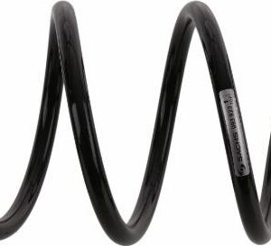SACHS 993 923 - Fahrwerksfeder (Nacht)