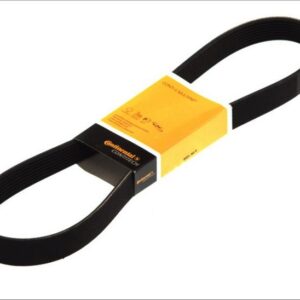 CONTINENTAL 8 PK 2035 - Keilrippenriemen (Nacht)