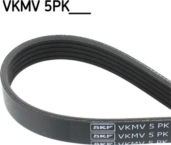 SKF VKMV 5PK1432 - Keilrippenriemen (Nacht)