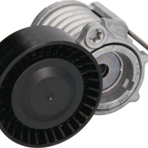 INA 534 0296 10 - Riemenspanner, Keilrippenriemen (Nacht)