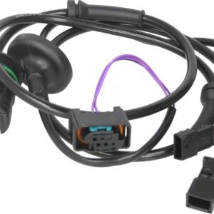 Delphi SS20190 - Sensor, Raddrehzahl (Nacht)