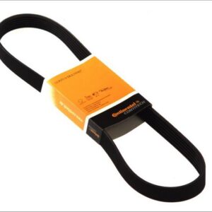CONTINENTAL 6PK1205 - Keilrippenriemen (Nacht)